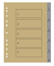 SEPARADOR A4 C/6 EM PLASTICO