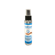 Gel Alcool Remova Spray 75ML 